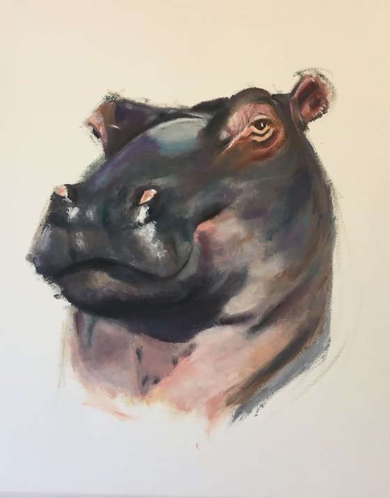 Hello Mr Hippo