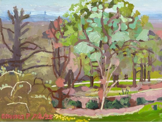 From Pembroke Lodge 2