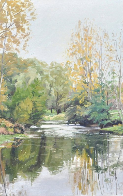 The banks of the Indre river, autumn light by ANNE BAUDEQUIN