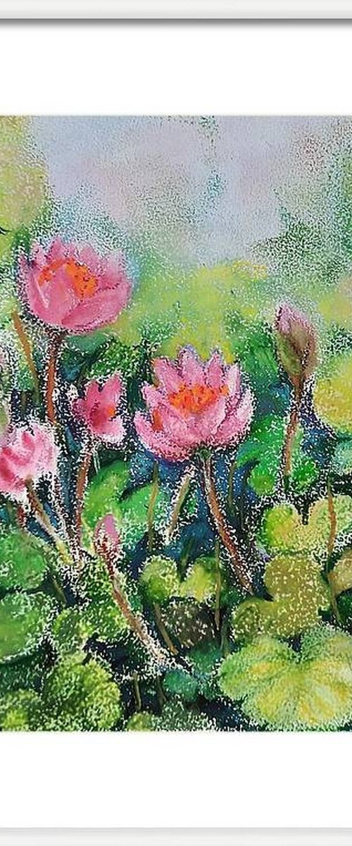 Lotus flower Pond by Asha Shenoy