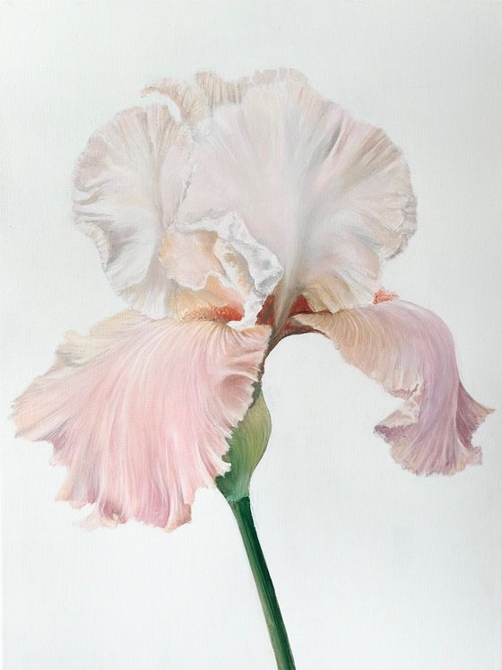 Delicacy