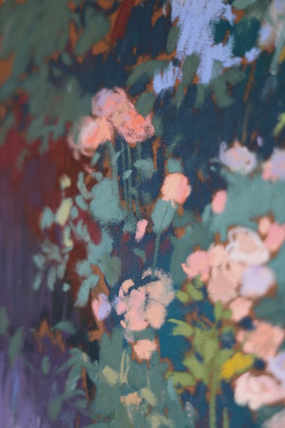 Roses in aragonese Pyrenees