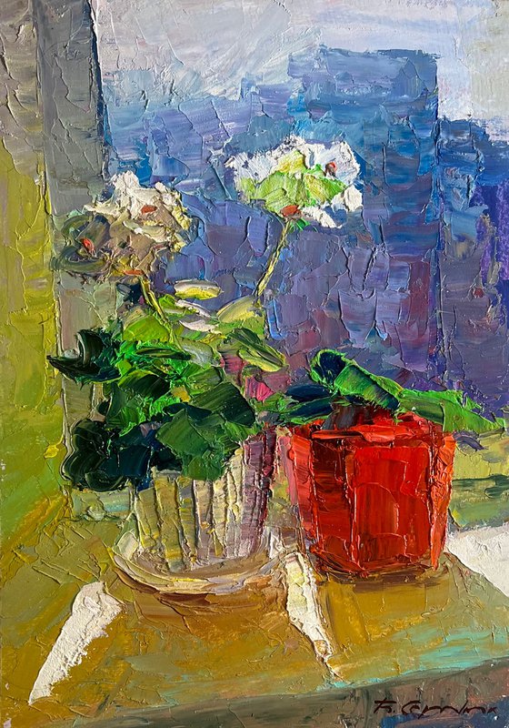 Flowers on the Windowsill