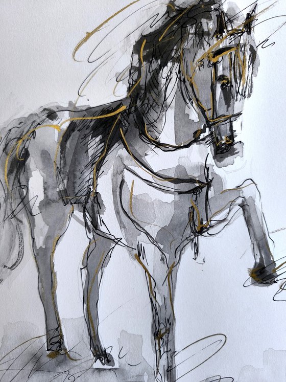 Equine Poetry Series