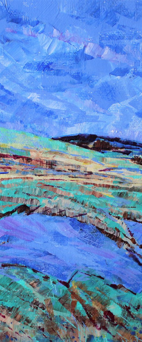 Little Tarn by Julia Preston