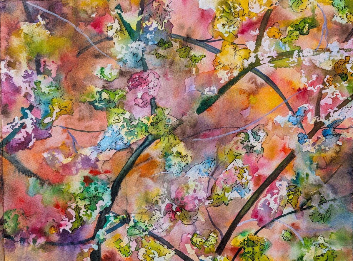 Expressive Botanical Watercolour By Richard Freer, 16 X 12", Blossom On Sienna Watercolour, Original Artwork