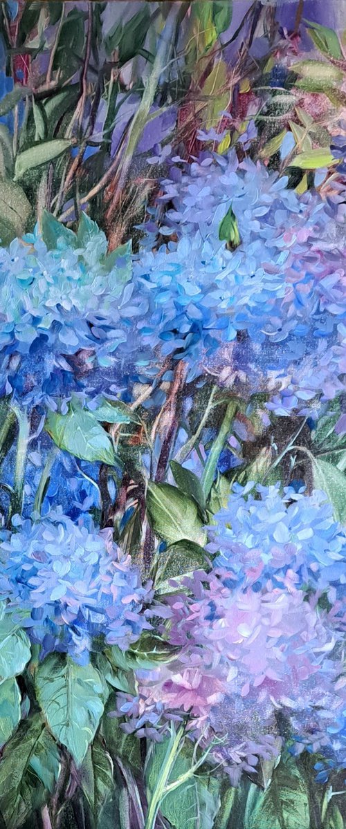 Hydrangea garden by Nataly Derevyanko