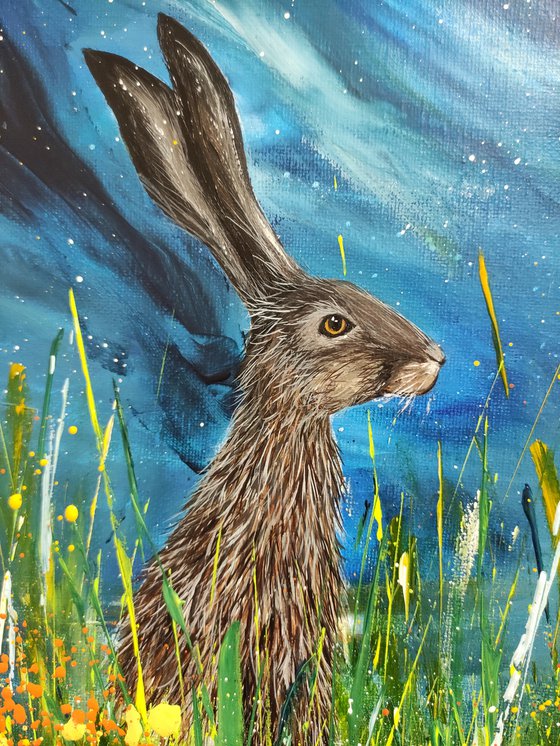 Watchful Hare