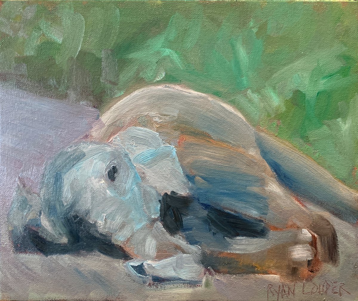 Elephant Painting - Sleepy Elephant  - Oil On Canvas by Ryan  Louder