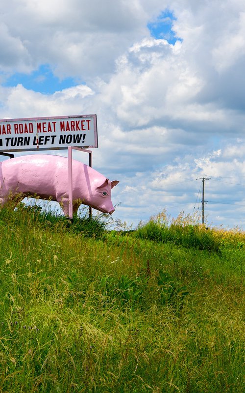 Cedar Road Meat Market by Robert Tolchin