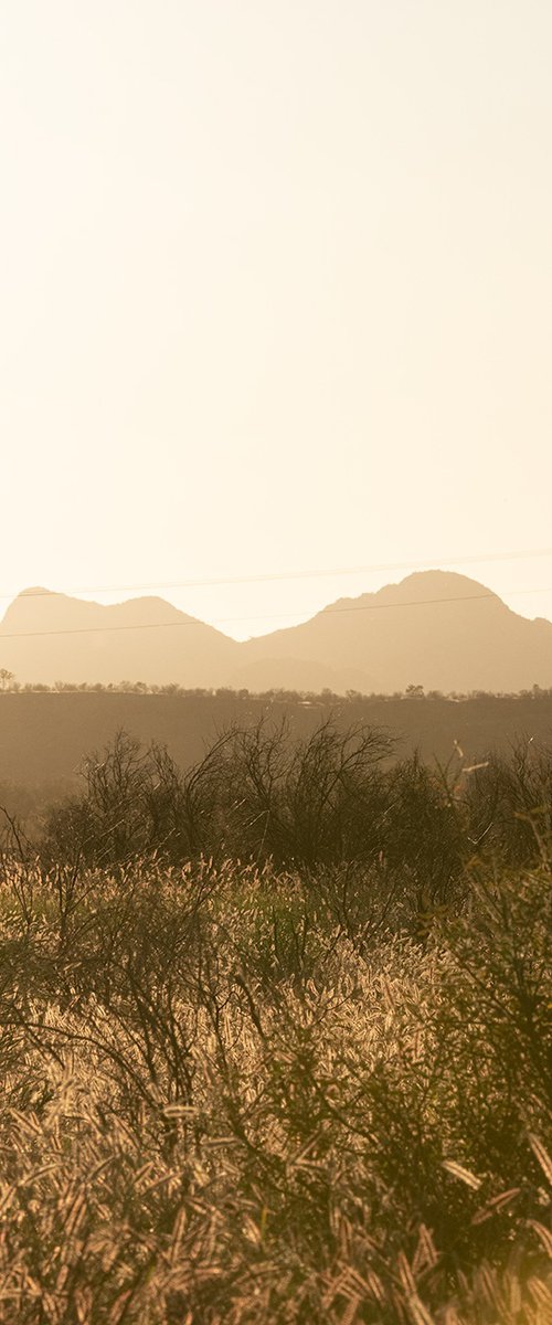 Grass Plains Outback Australia #4 by Nick Psomiadis