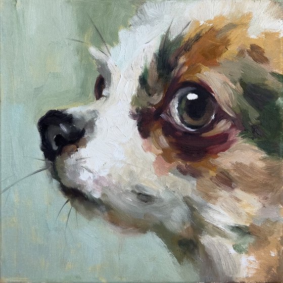Green dog