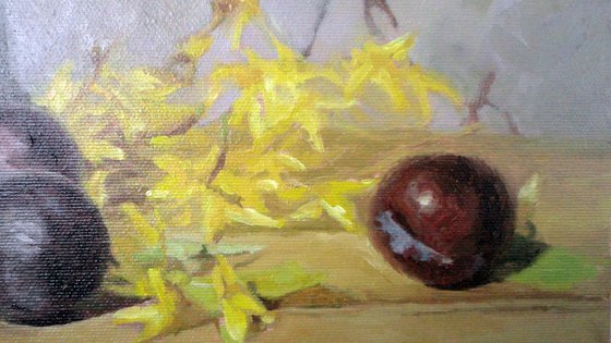 Plums and yellow blossom