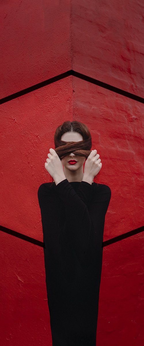 Hide and See by Dasha Pears