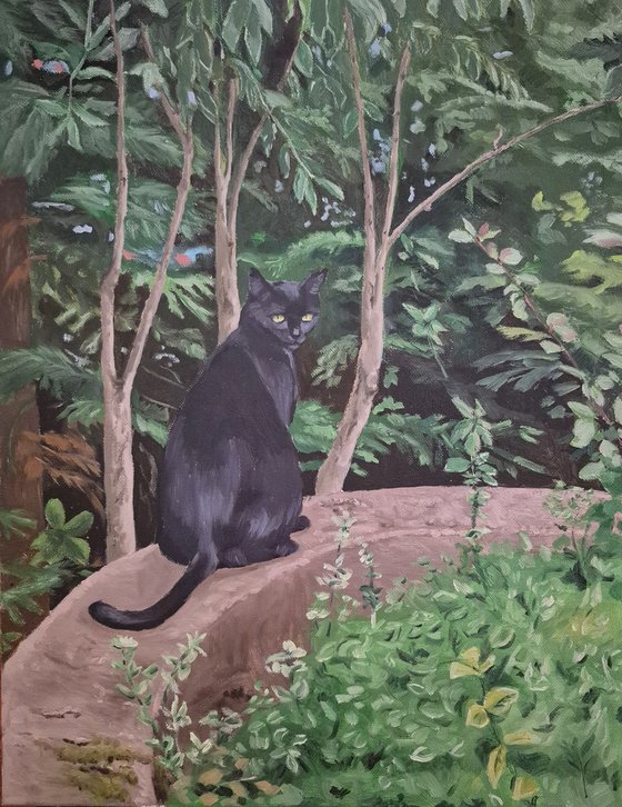 Black Cat in the Old Park