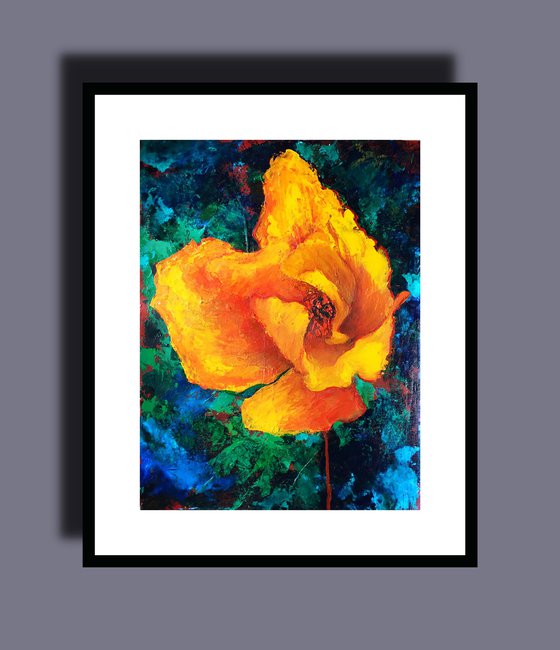 Yellow Poppy