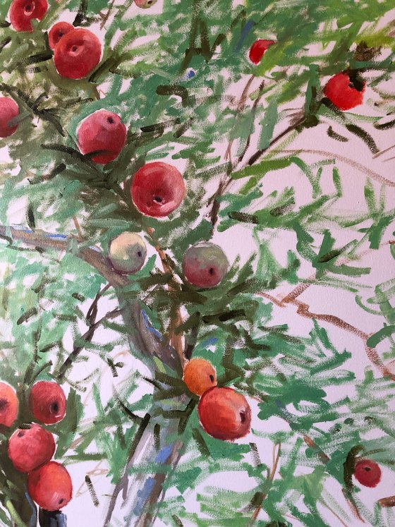 Apple Tree