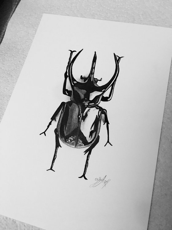 Beetle