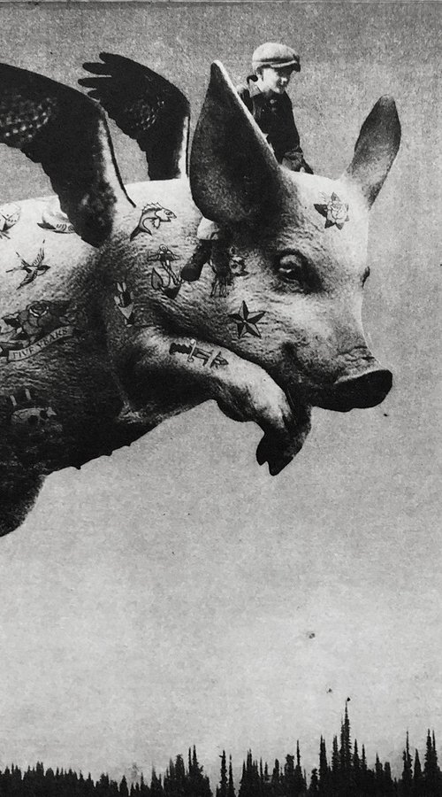 Exterior No.31: Pigs Do Fly by Jaco Putker