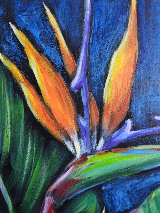 Strelitzia Bird of Paradise Tropical Flower Original Acrylic Painting