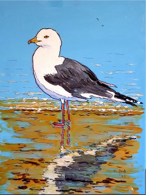 Seagull #10 by Colin Ross Jack