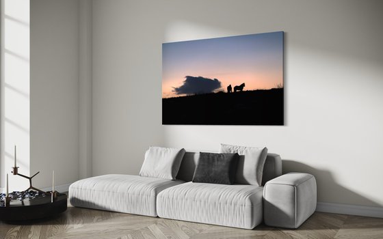 HORSES AT DUSK