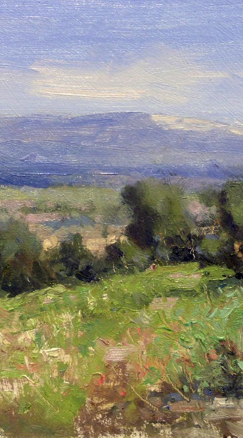 Path near the Ventoux by Pascal Giroud