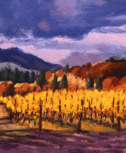 Mountain Vineyard by Daniel Fishback