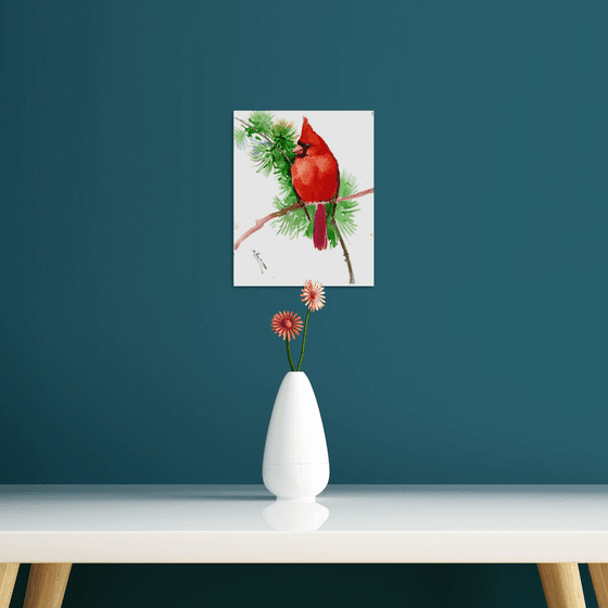 Red Cardinal Bird