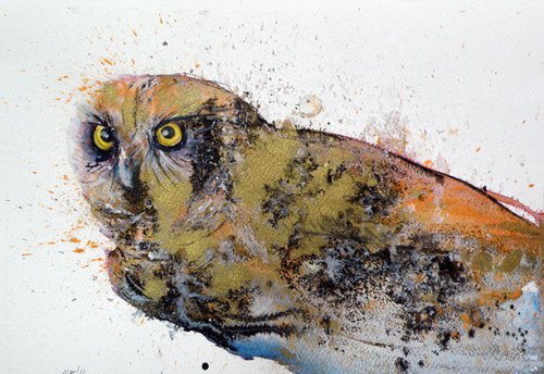Owl in gold by Kovács Anna Brigitta