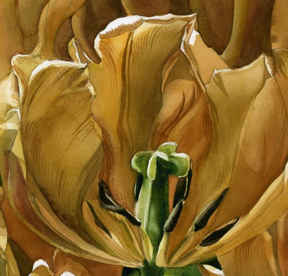 golden tulips