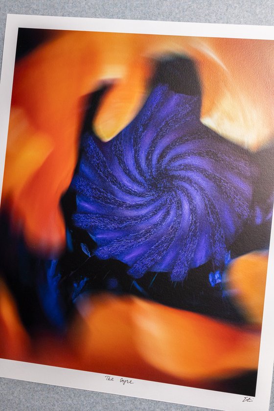 The Gyre - studio edition