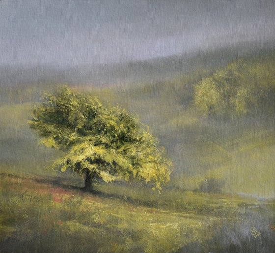 " Light Green in Misty Vail - 2 "