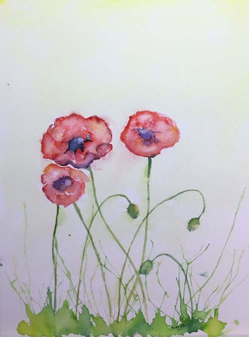Poppies #2 by Sabrina’s Art