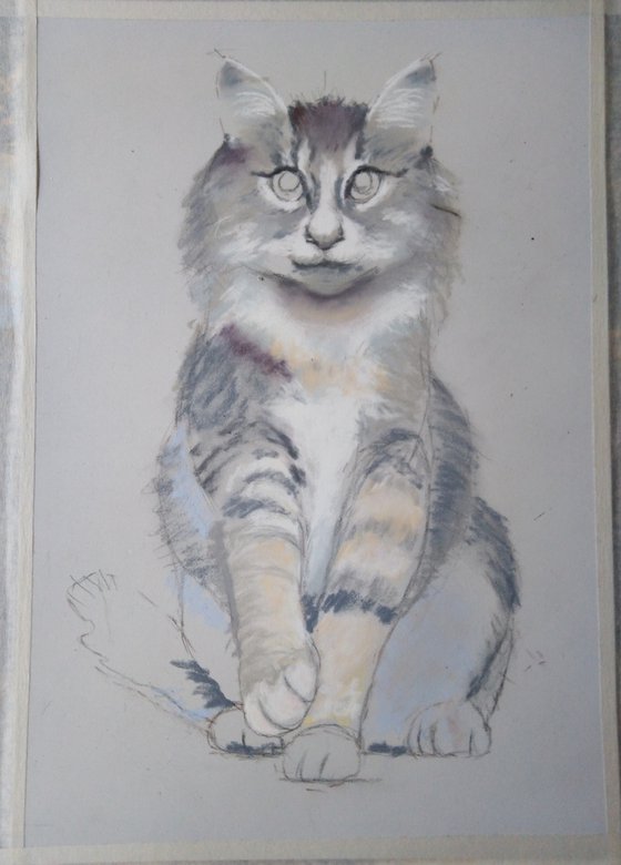 A Cat's Portrait. Emerald Eyes
