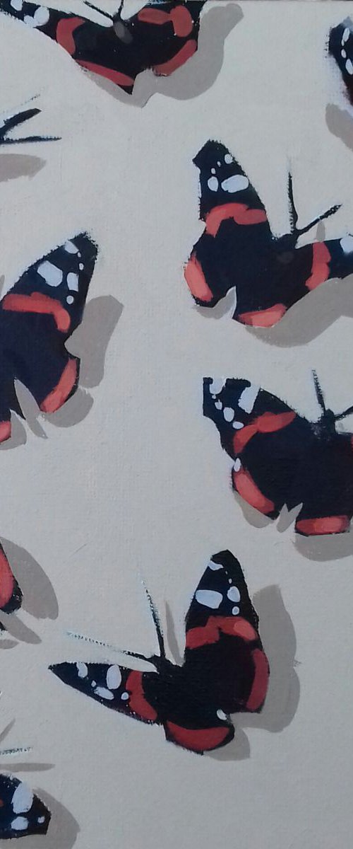 Butterflys by Matthew Stutely