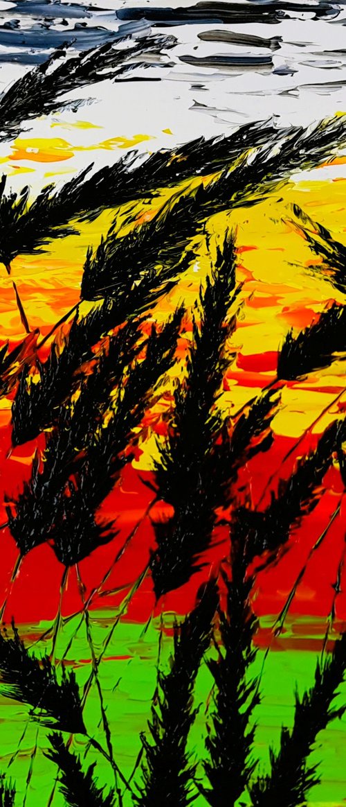 Sunset In The Grass 1 by Daniel Urbaník