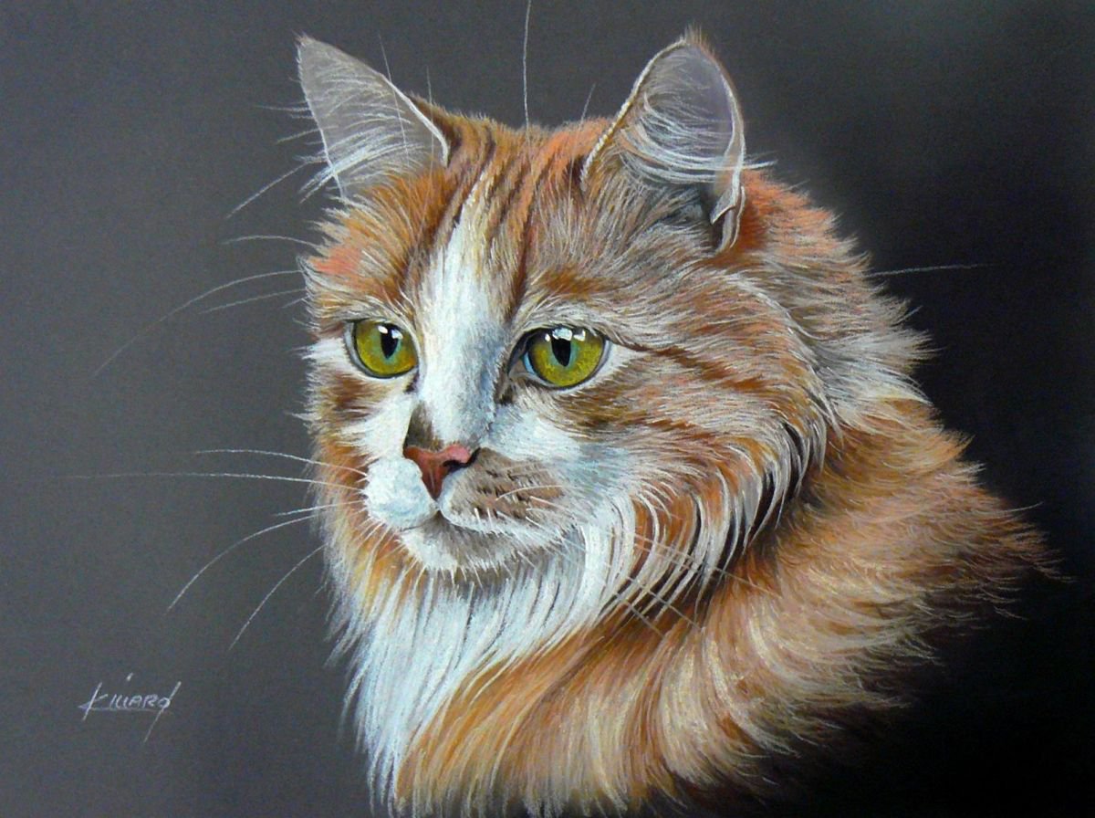 Ginger Cat Pastel drawing by Karine VILLARD | Artfinder