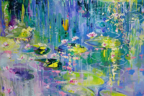 Summer Waterlilies