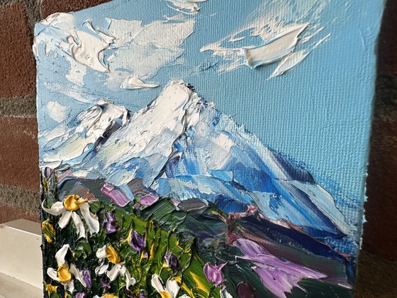 Daisies in the mountains