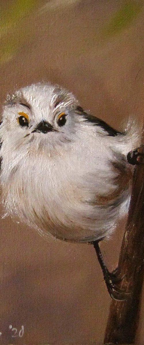 Fluffy Small Bird by Natalia Shaykina