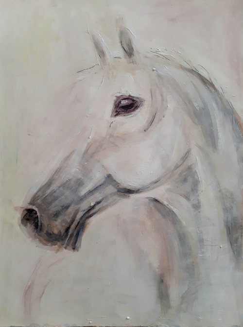 White Horse by Nektaria G