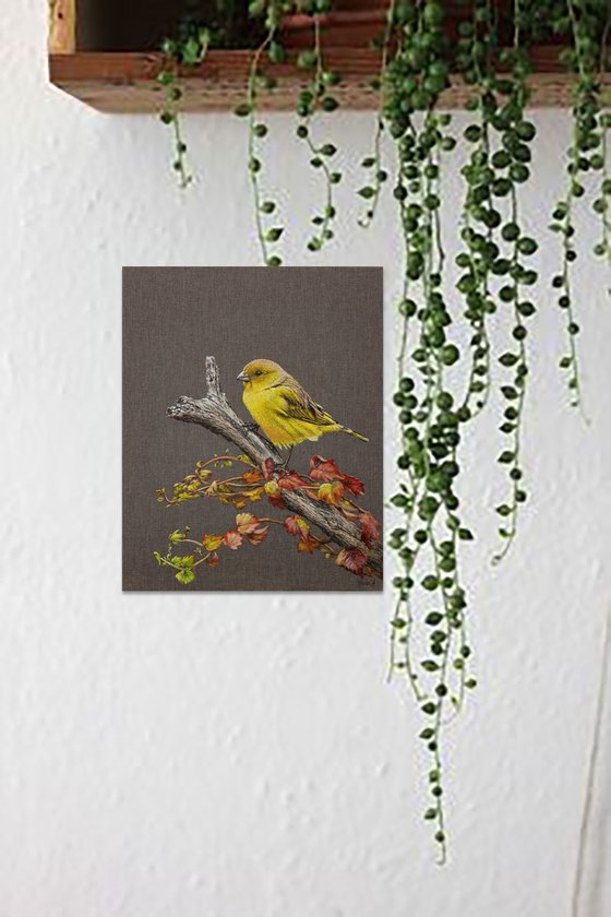 The Bird. Yellow Canary.