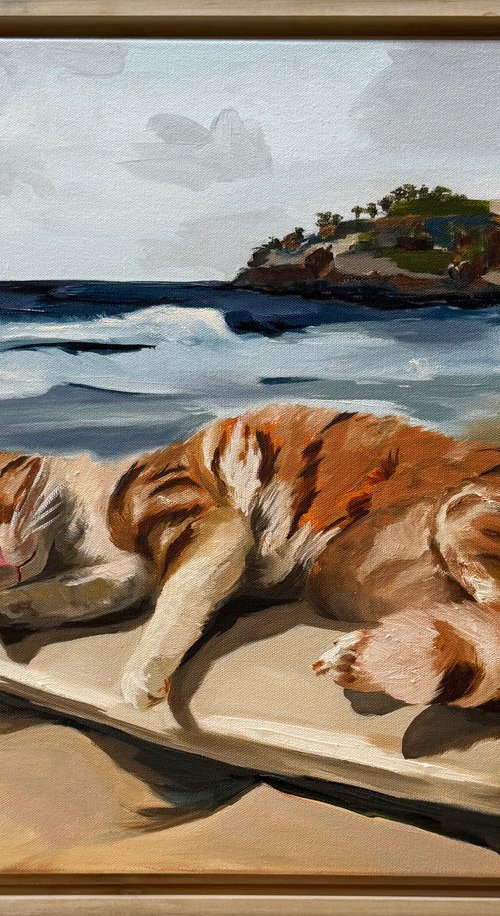 Chill On The Board by VICTO