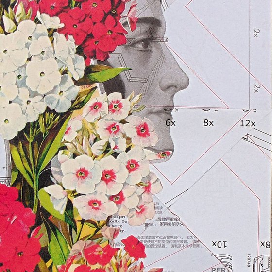 Collage_93