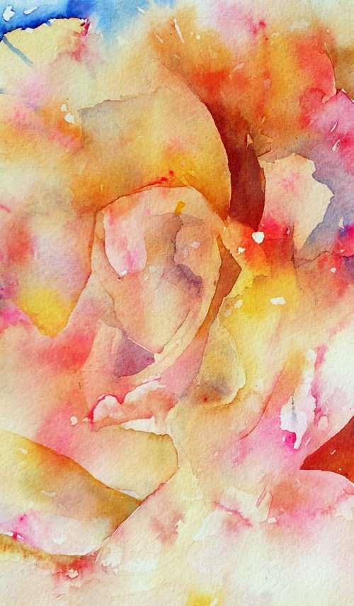 Rainbow Rose by Arti Chauhan