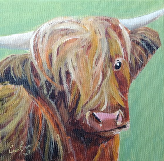 Highland cow art oil painting on canvas