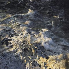 Clare Parkes