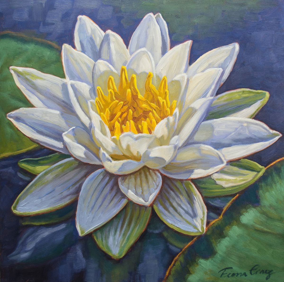 Water Lily Study 4 by Fiona Craig