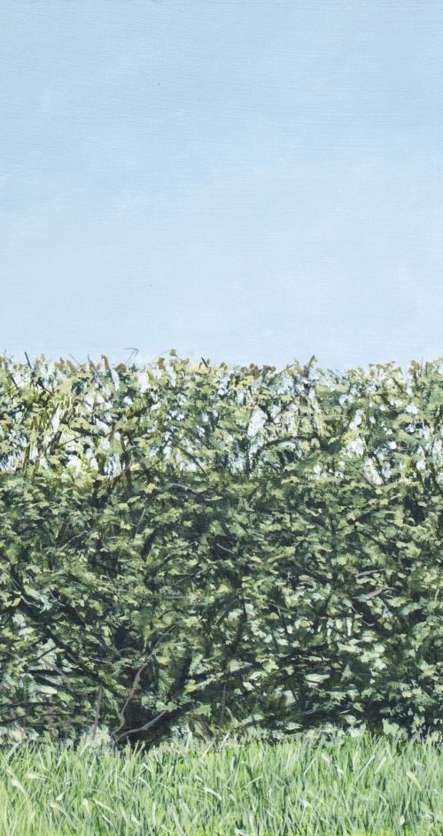Roadside Hedge by Christopher Witchall